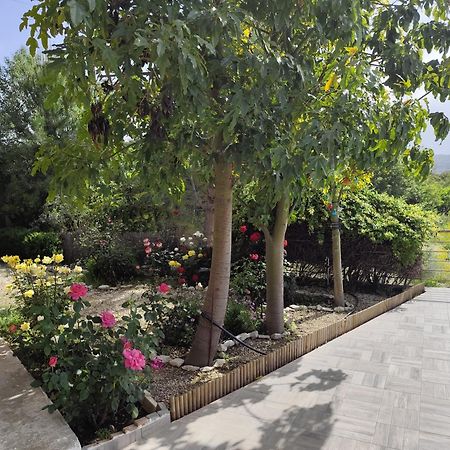 Roses Villa Trimiklini Exteriér fotografie