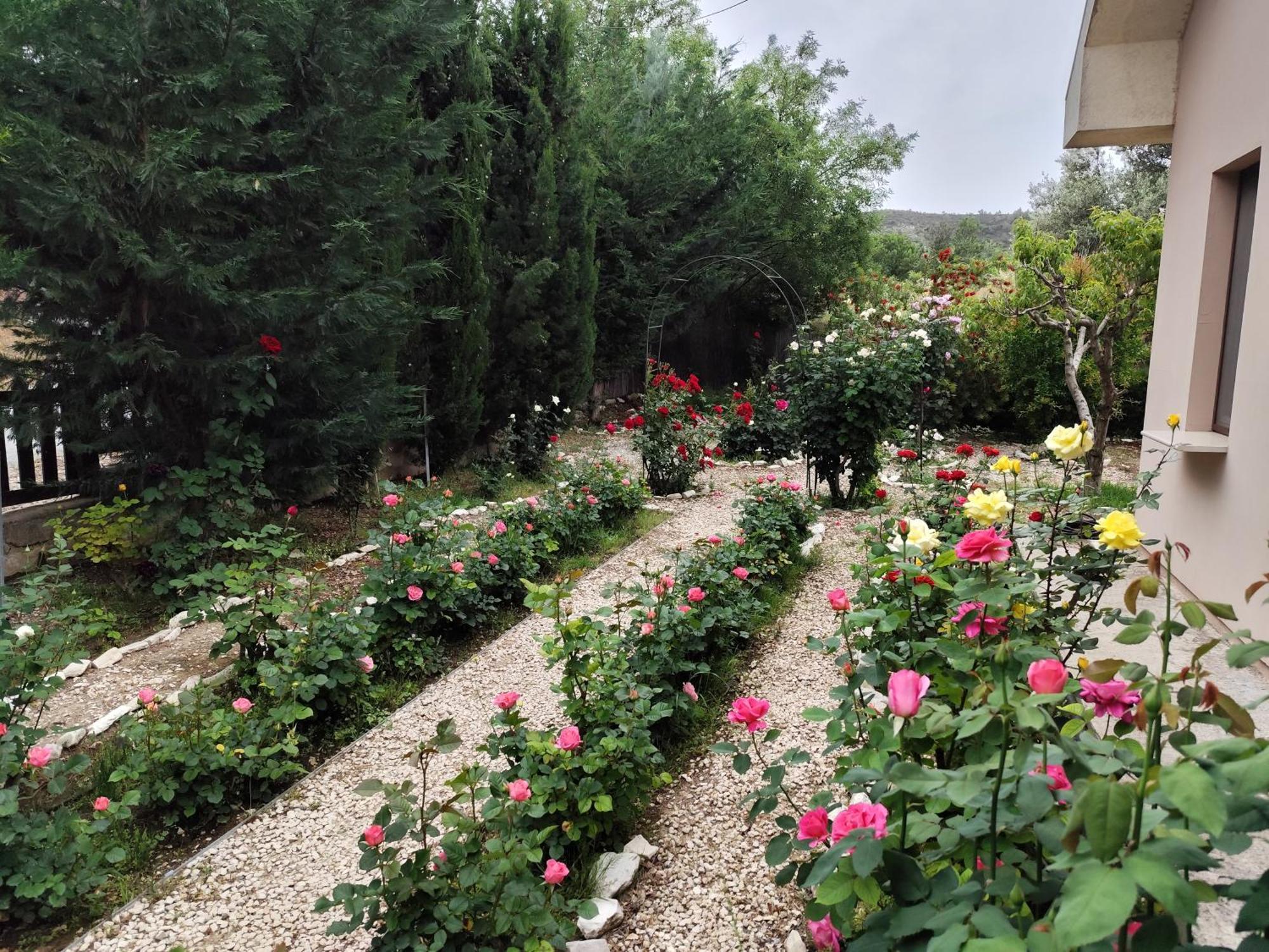 Roses Villa Trimiklini Exteriér fotografie