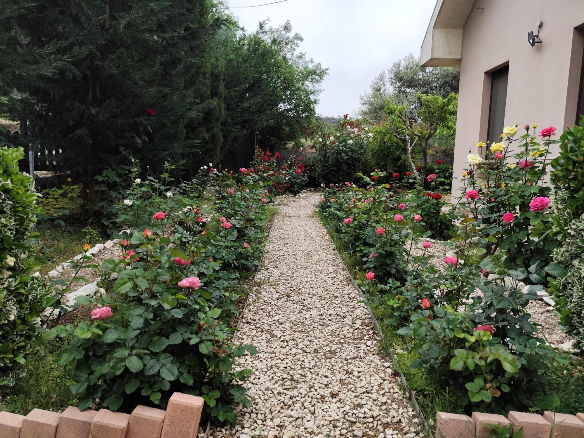 Roses Villa Trimiklini Exteriér fotografie