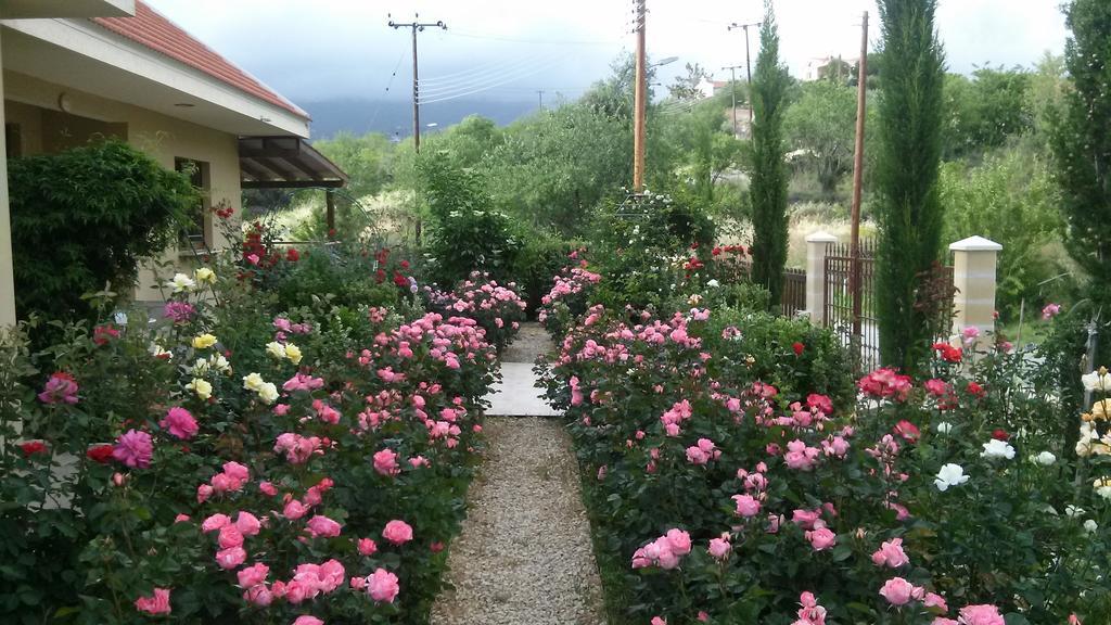 Roses Villa Trimiklini Exteriér fotografie